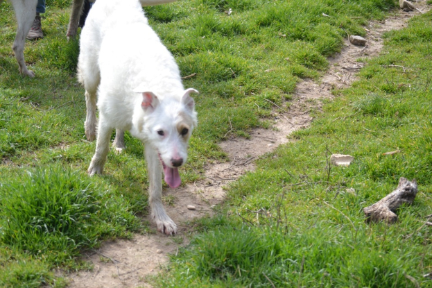 Adopter Masha