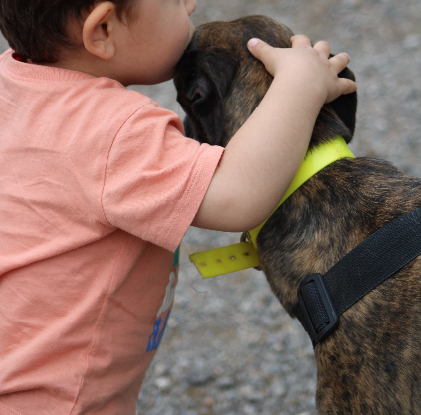Adoption Luna