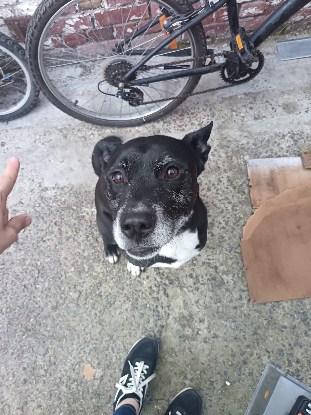 Adopter Crunch