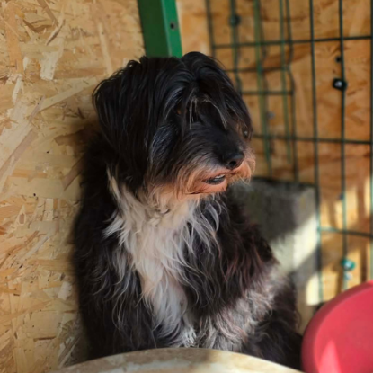 Adopter Anna mary