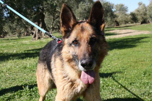 Adopter Nancy