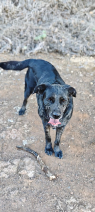 Adoption Andréa