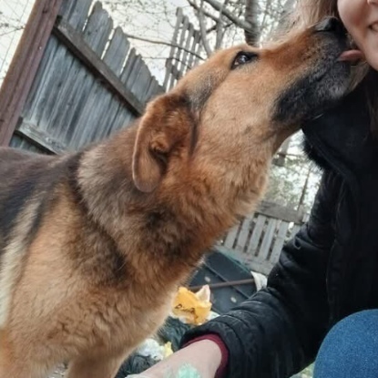 Adopter Migmiga