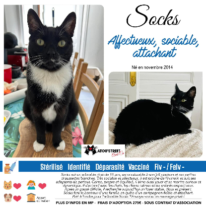 Adoption Socks