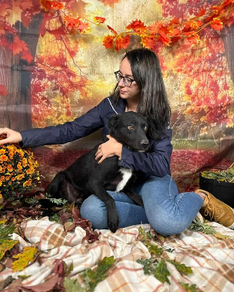 Adopter Alinea