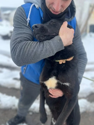 Adopter Aegon
