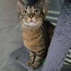 Lucie