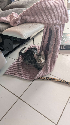 Adoption Uapou