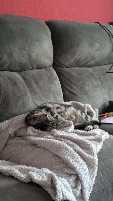 Adoption Uapou