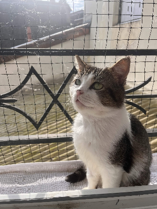 Adopter Khnoum
