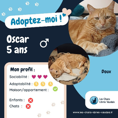 Adopter Oscar