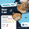 Oscar