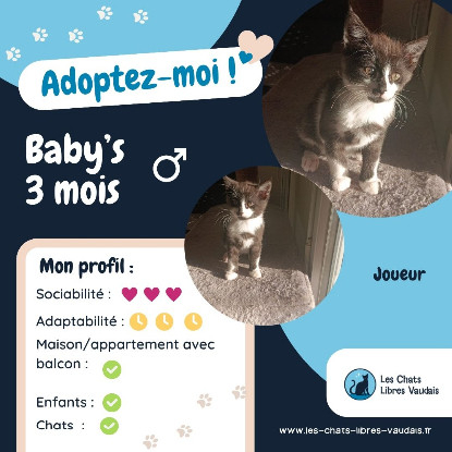 Adopter Baby's