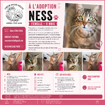 Adopter Ness