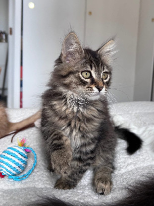 Adopter Bioul et bioula a ensemble