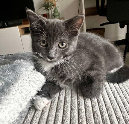 Adopter Bioul et bioula a ensemble