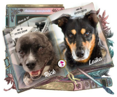 Adopter  chien : Rick & laïka