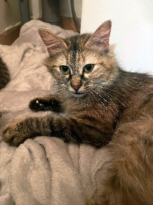 Adopter Emma