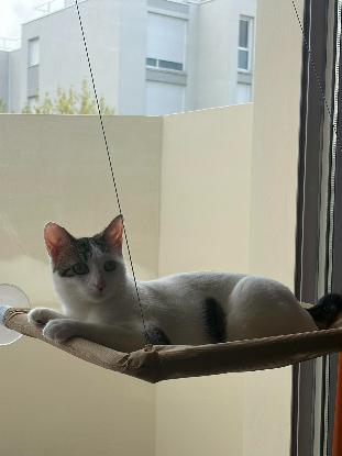 Adopter Nagini
