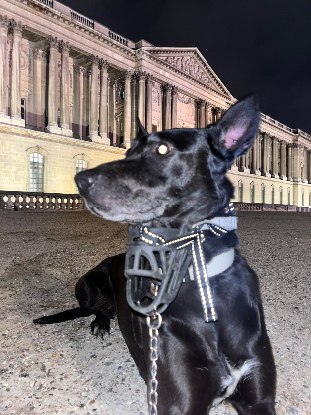 Adopter Tati