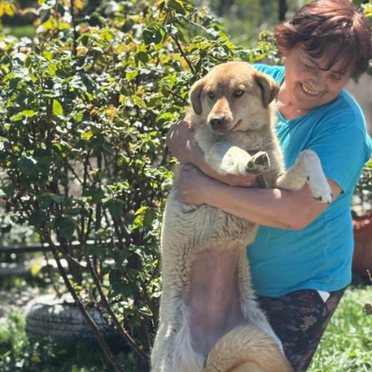 Adoption Blonda
