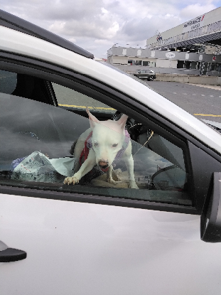 Adopter Emma