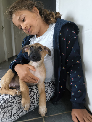 Adoption Balto