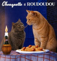 Adopter  chat : Chouquette et roudoudou
