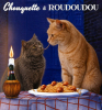 Chouquette et roudoudou