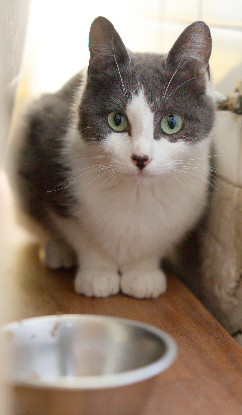 Adoption Jenna