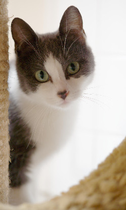 Adopter Jenna