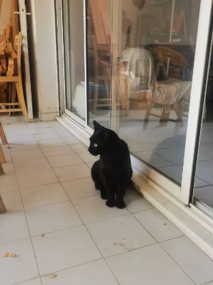 Adopter Rocket