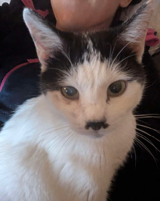 Adopter Emie