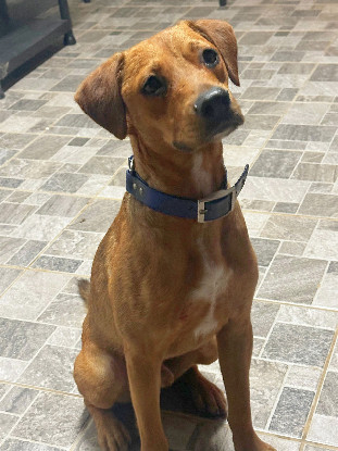 Adopter Takeo