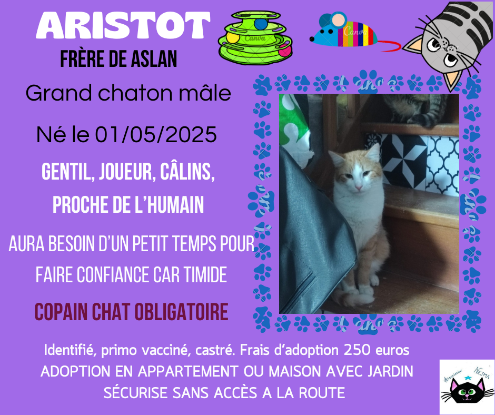 Adopter Aristot