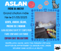 Aslan