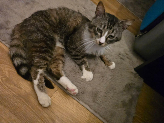 Adopter Lago