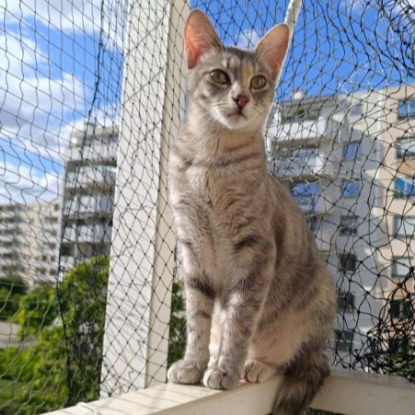 Adoption Oxana