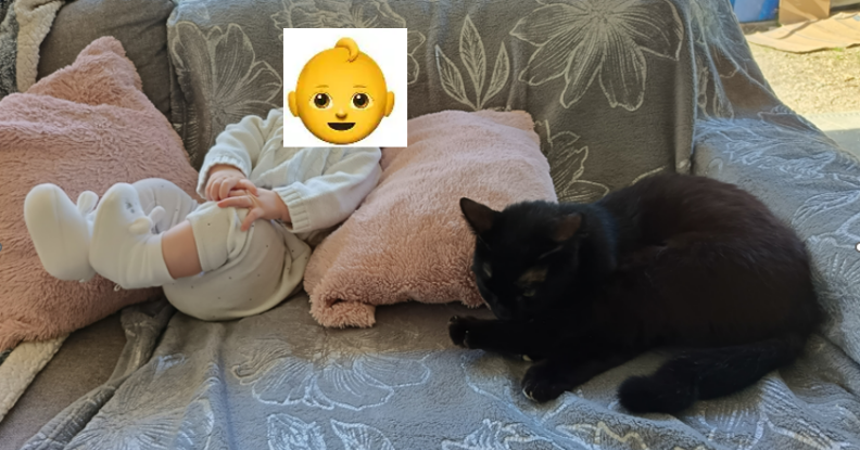 Adopter Balou