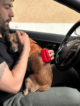 Adoption Eros