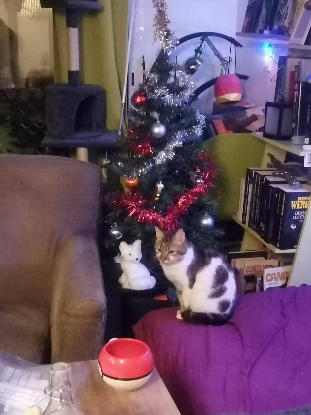 Adoption Duchesse