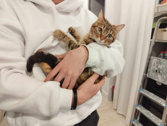 Adopter Alessia