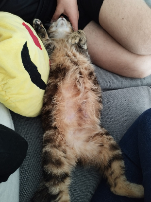Adopter Alessia
