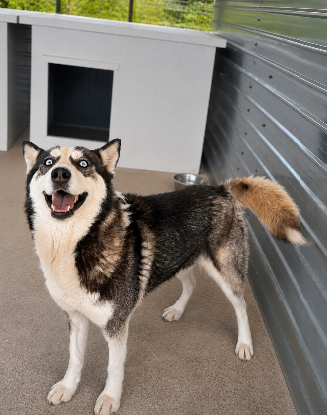 Adopter Emma