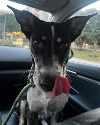 Adoption Donna