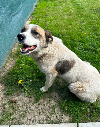 Adopter Karin