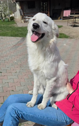 Adopter Elena