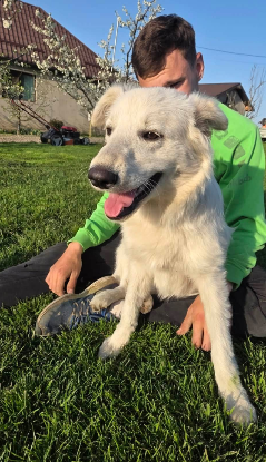 Adopter Elena