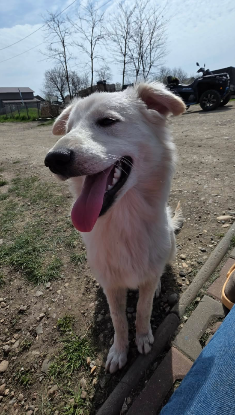 Adopter Elena