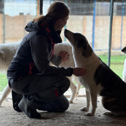 Adoption Maxima